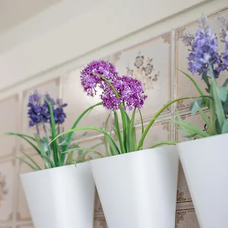 Guestready - Eclectic Haven In The Heart Of Oporto